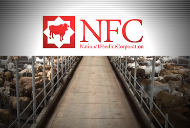 national feedlot corporation case study