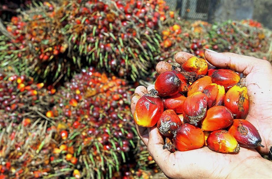 Demand for palm oil to surge as importing countries ...