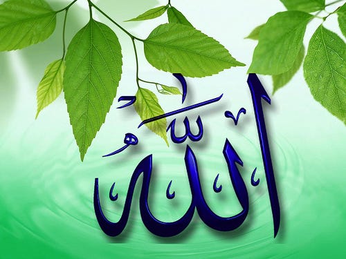Respect the wishes of Sabahans and Sarawakians, don't politicise use of the word "Allah" – Malaysia Today - Vimarsana News