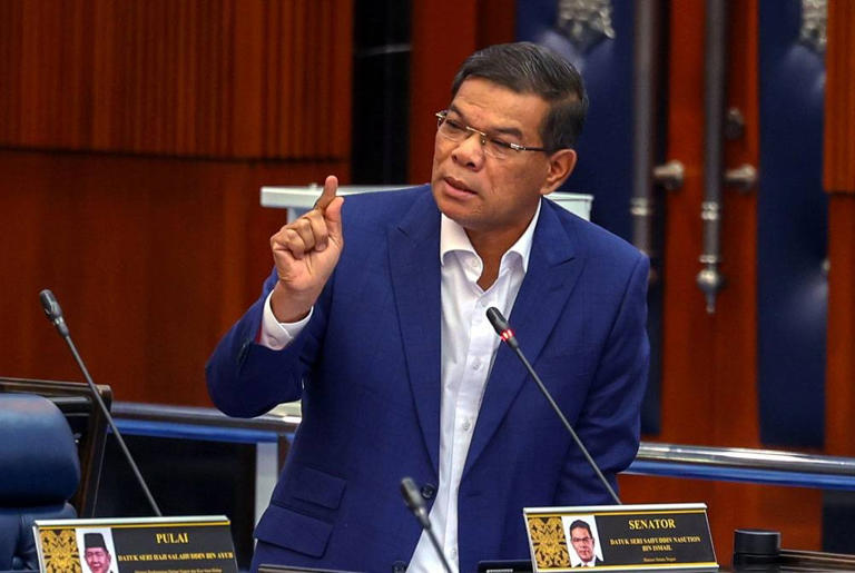 Political patronage hinders efforts to combat online gambling – Saifuddin – Malaysia Today - Vimarsana News